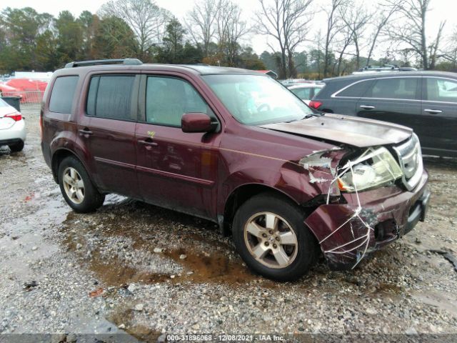 honda pilot 2011 5fnyf3h53bb037261