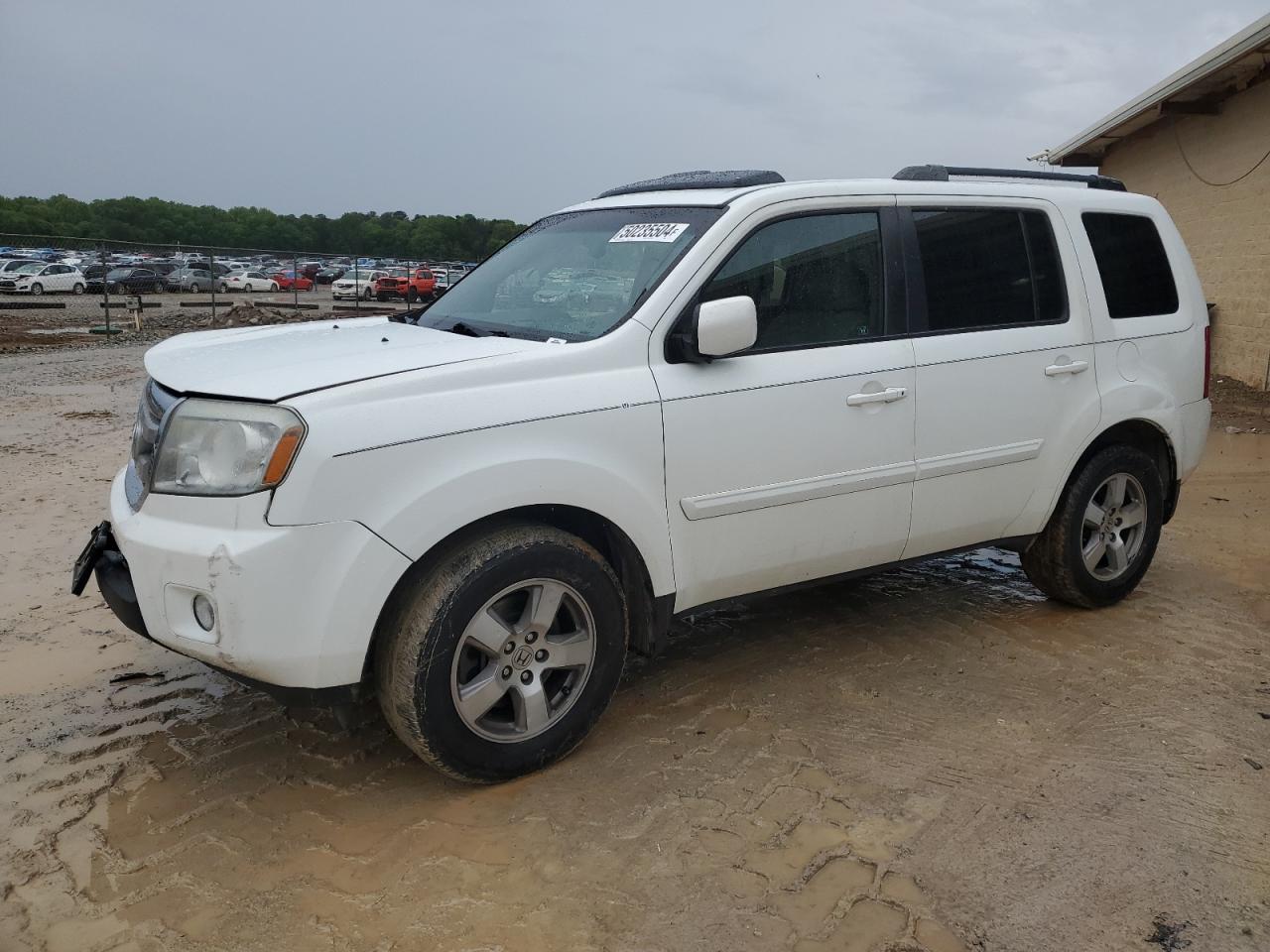 honda pilot 2011 5fnyf3h55bb025404