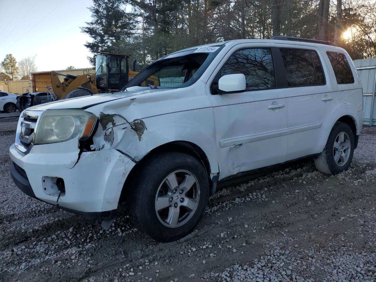 honda pilot 2011 5fnyf3h57bb016445