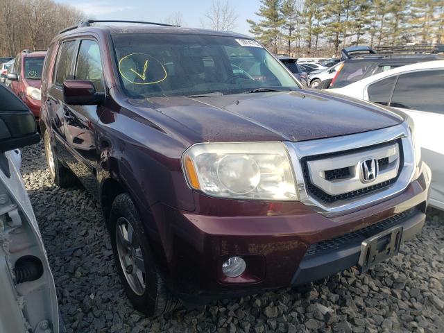 honda pilot exl 2010 5fnyf3h58ab001838