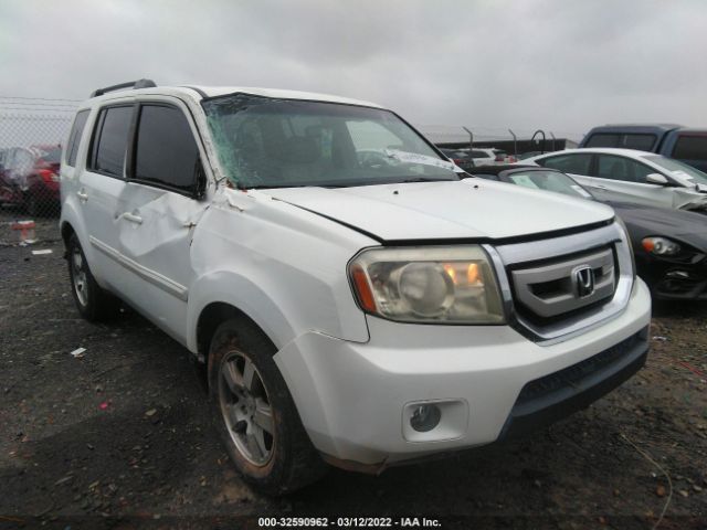 honda pilot 2011 5fnyf3h59bb025552