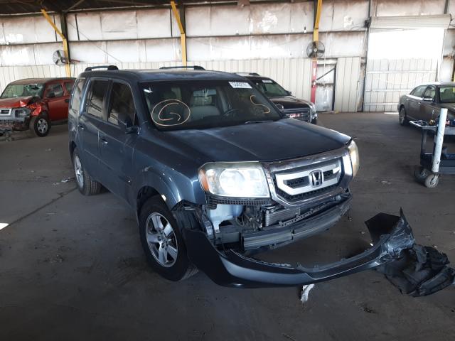 honda pilot exl 2010 5fnyf3h5xab008015