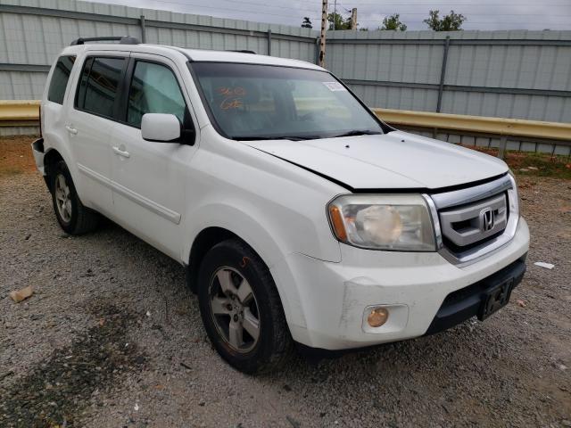 honda pilot exl 2011 5fnyf3h5xbb040559