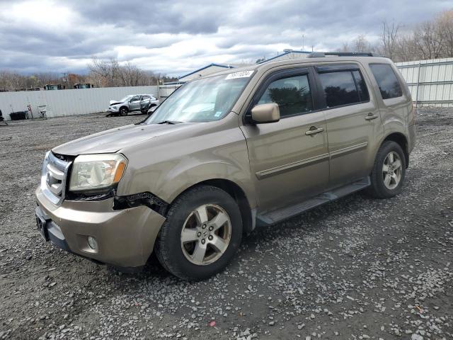 honda pilot exl 2009 5fnyf48539b028026