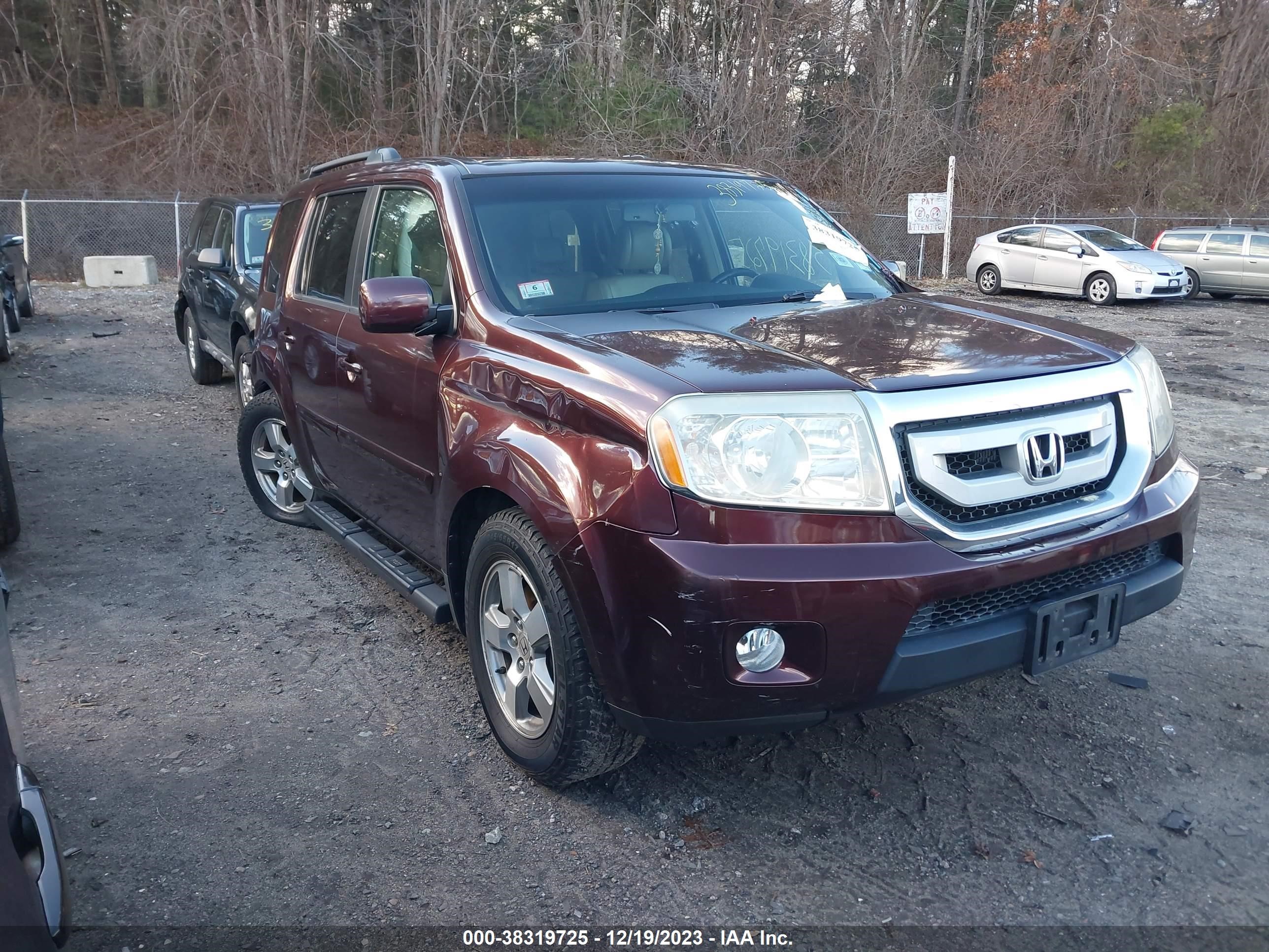 honda pilot 2009 5fnyf48599b031139