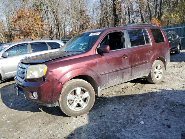 honda pilot exl 2009 5fnyf48689b026023