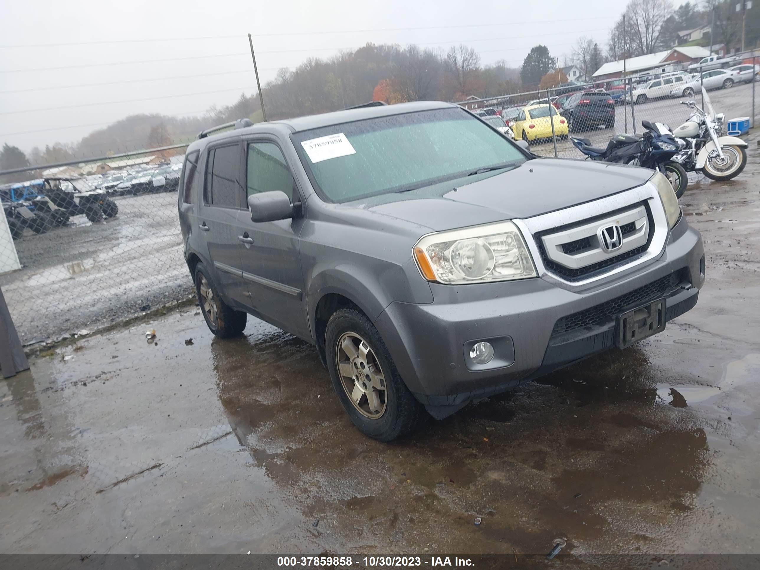 honda pilot 2009 5fnyf48879b040917