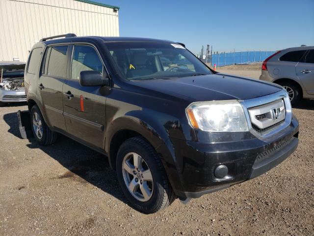 honda pilot lx 2010 5fnyf4h21ab502727