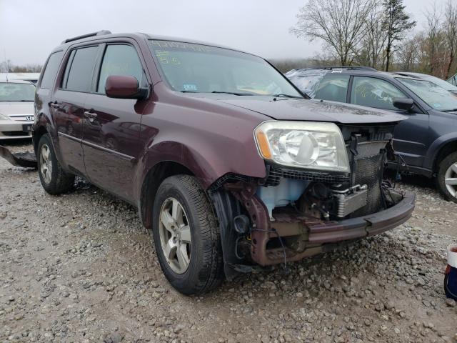 honda pilot ex 2010 5fnyf4h41ab021023