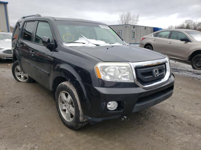 honda pilot ex 2010 5fnyf4h47ab031958