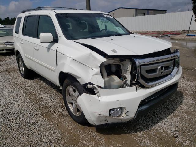 honda pilot ex 2011 5fnyf4h47bb082801