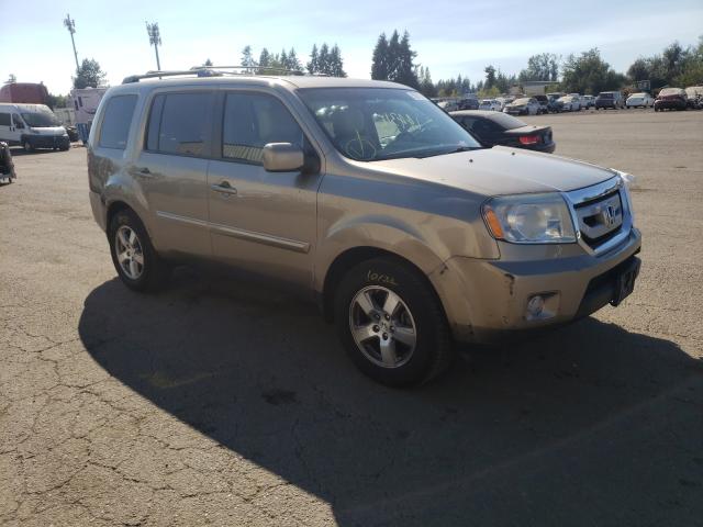 honda pilot exl 2010 5fnyf4h50ab021572