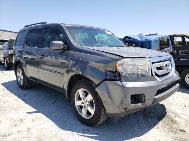 honda pilot exl 2011 5fnyf4h50bb046389