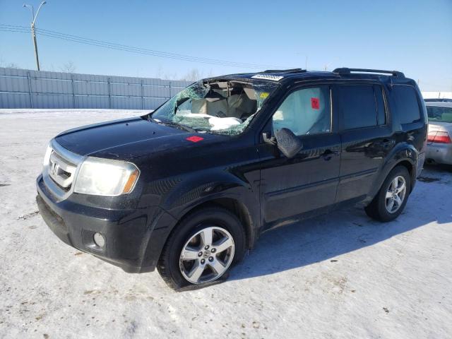 honda pilot exl 2010 5fnyf4h51ab503242