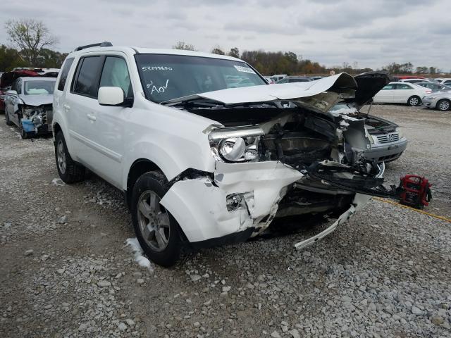 honda pilot exl 2011 5fnyf4h51bb005981