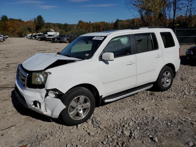 honda pilot exl 2011 5fnyf4h51bb031836