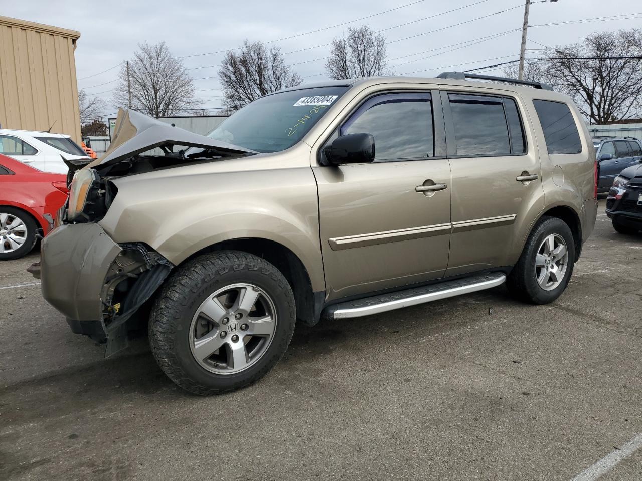 honda pilot 2011 5fnyf4h51bb033649