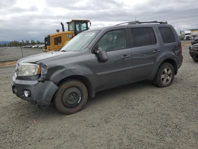 honda pilot 2011 5fnyf4h51bb036356