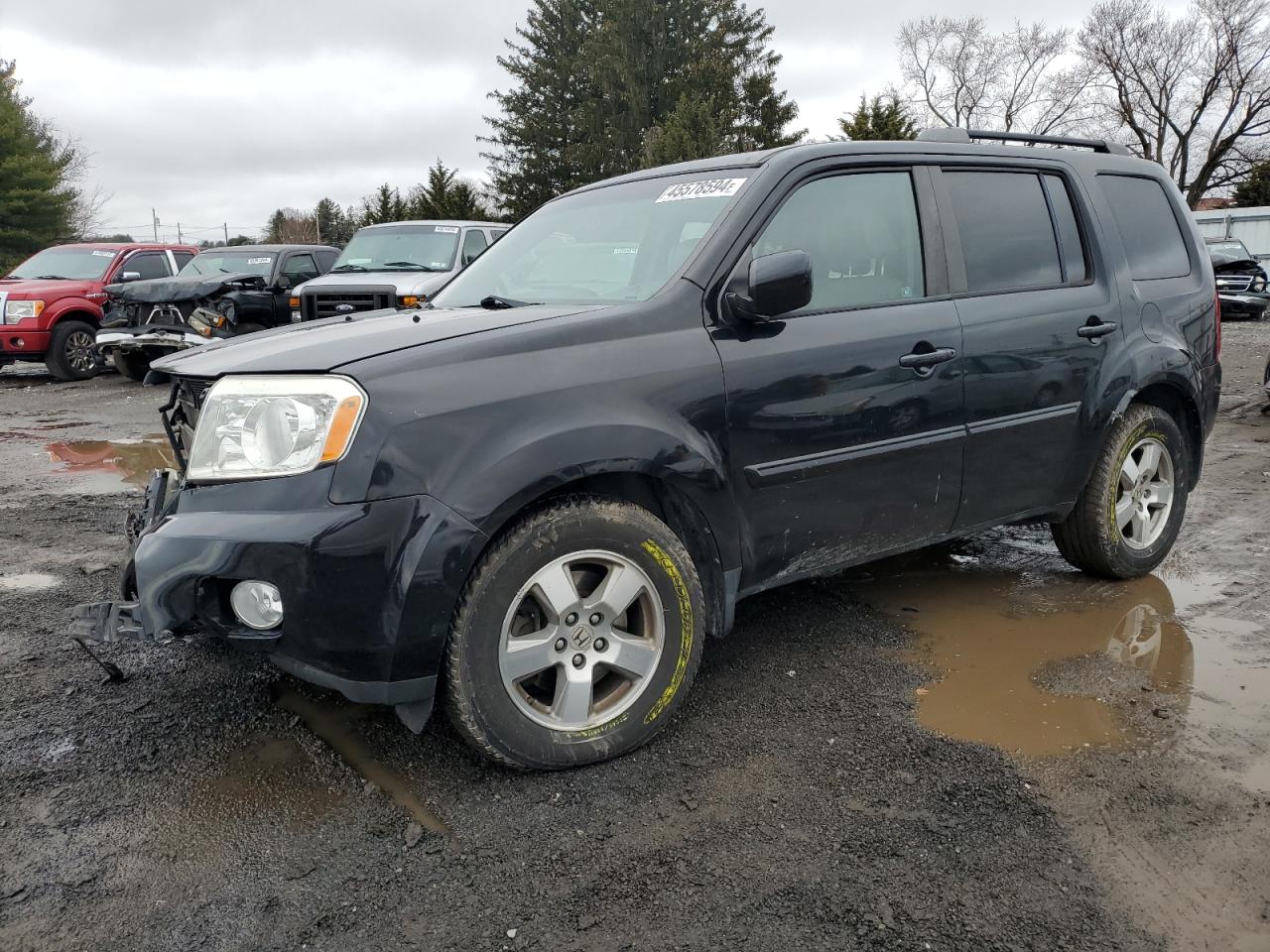 honda pilot 2011 5fnyf4h51bb053612