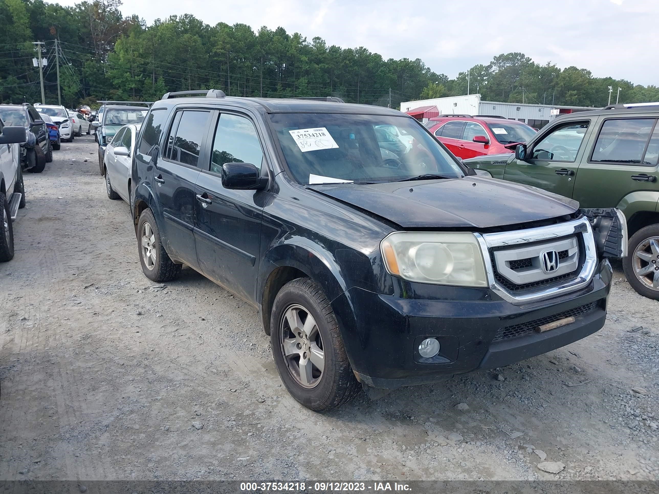 honda pilot 2011 5fnyf4h51bb069843