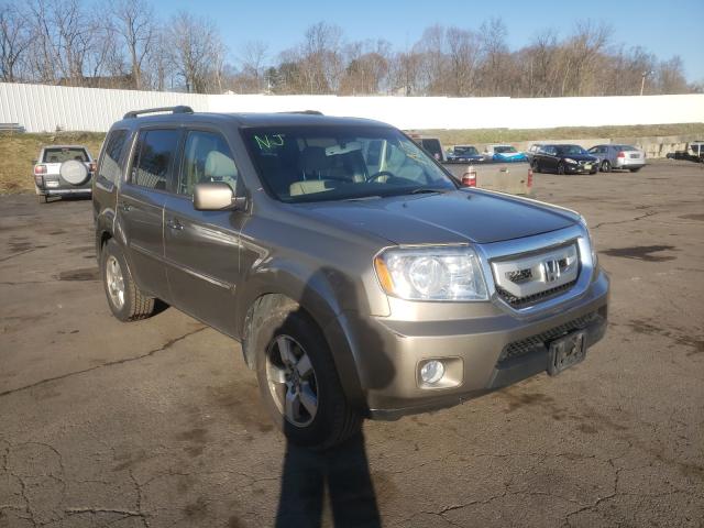 honda pilot exl 2011 5fnyf4h51bb102100