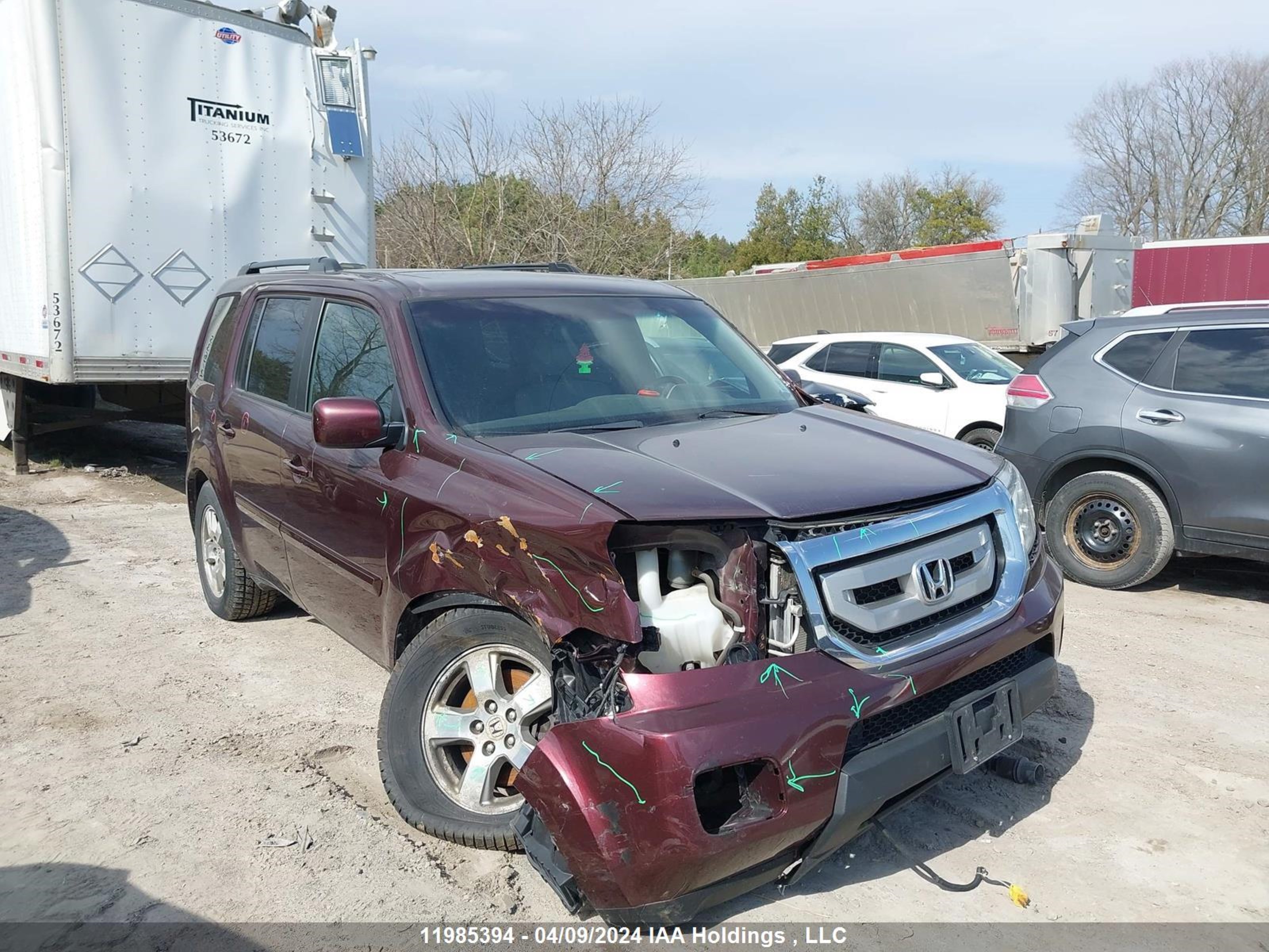 honda pilot 2010 5fnyf4h53ab503369