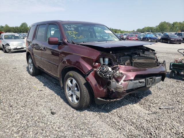 honda pilot exl 2014 5fnyf4h54eb028255