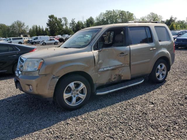 honda pilot 2010 5fnyf4h55ab001916