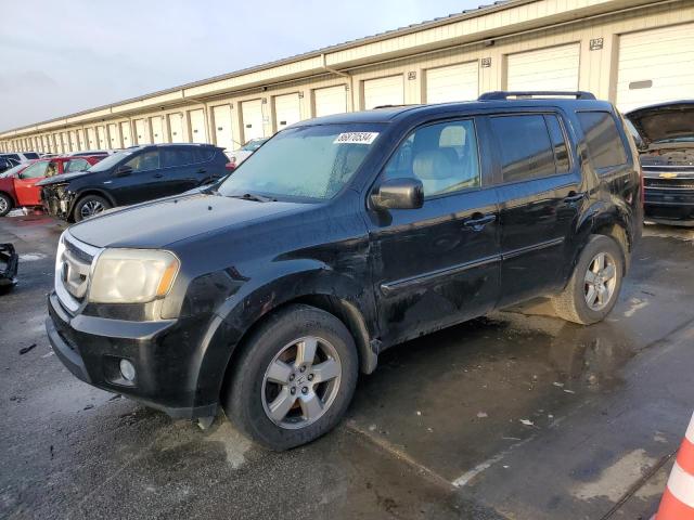 honda pilot exl 2011 5fnyf4h55bb024999