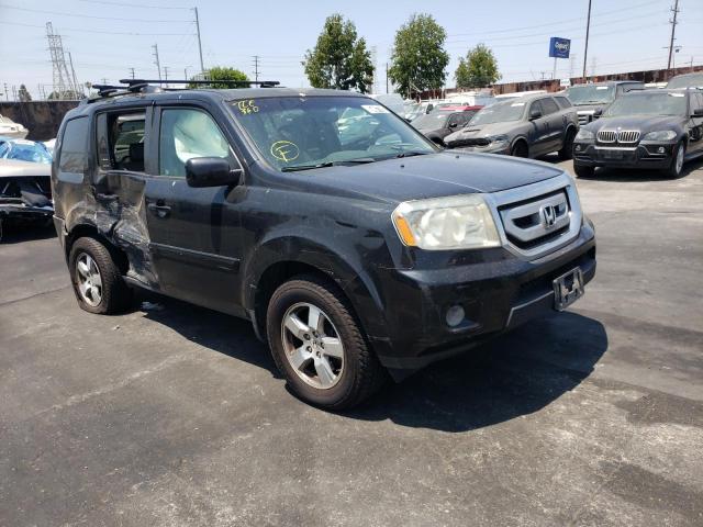 honda pilot exl 2010 5fnyf4h56ab005263