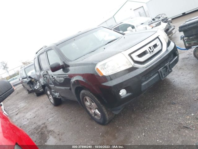 honda pilot 2011 5fnyf4h56bb043125