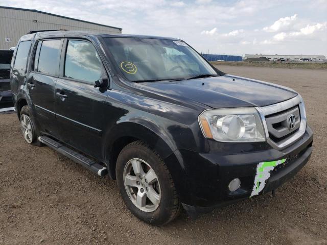 honda pilot exl 2011 5fnyf4h56bb506624