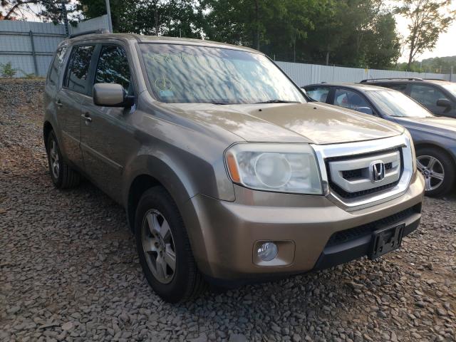 honda pilot exl 2010 5fnyf4h57ab023741