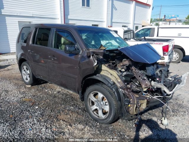 honda pilot 2013 5fnyf4h57db029804