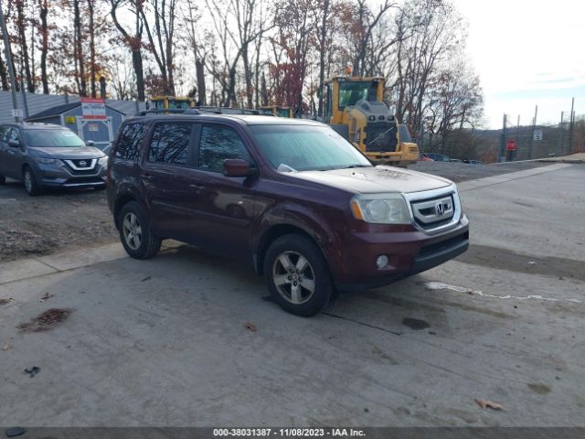 honda pilot 2010 5fnyf4h58ab004339