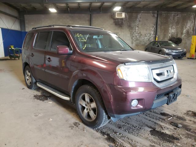 honda pilot exl 2010 5fnyf4h58ab030925