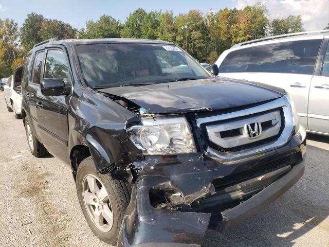 honda pilot exl 2011 5fnyf4h58bb039450