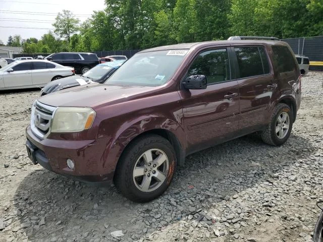 honda pilot exl 2011 5fnyf4h58bb051419