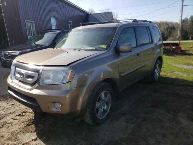 honda pilot exl 2011 5fnyf4h5xbb019460