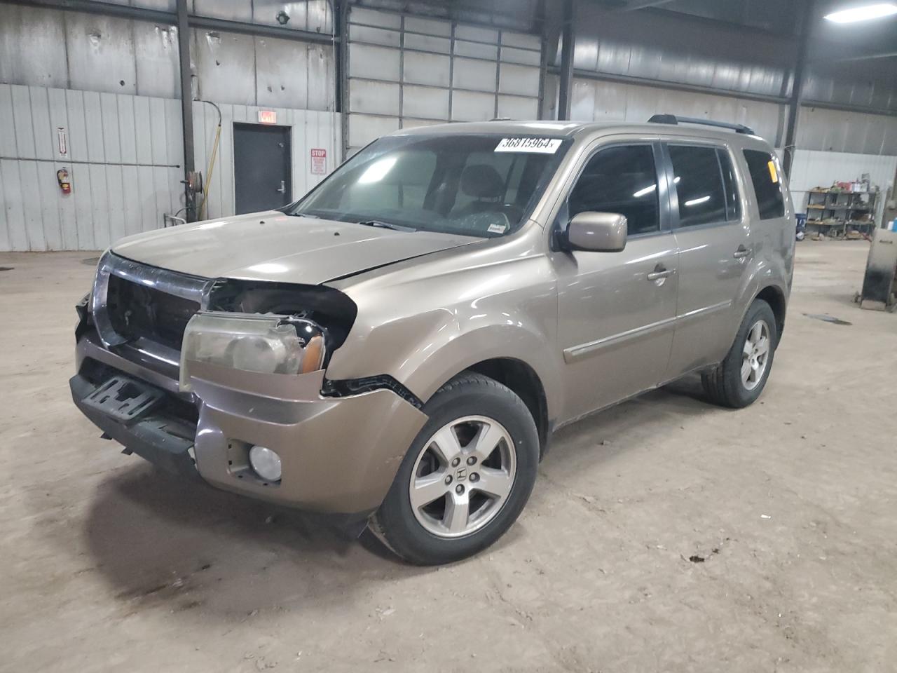 honda pilot 2011 5fnyf4h61bb030954