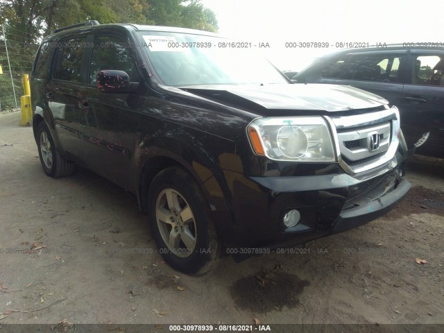 honda pilot 2010 5fnyf4h64ab011149