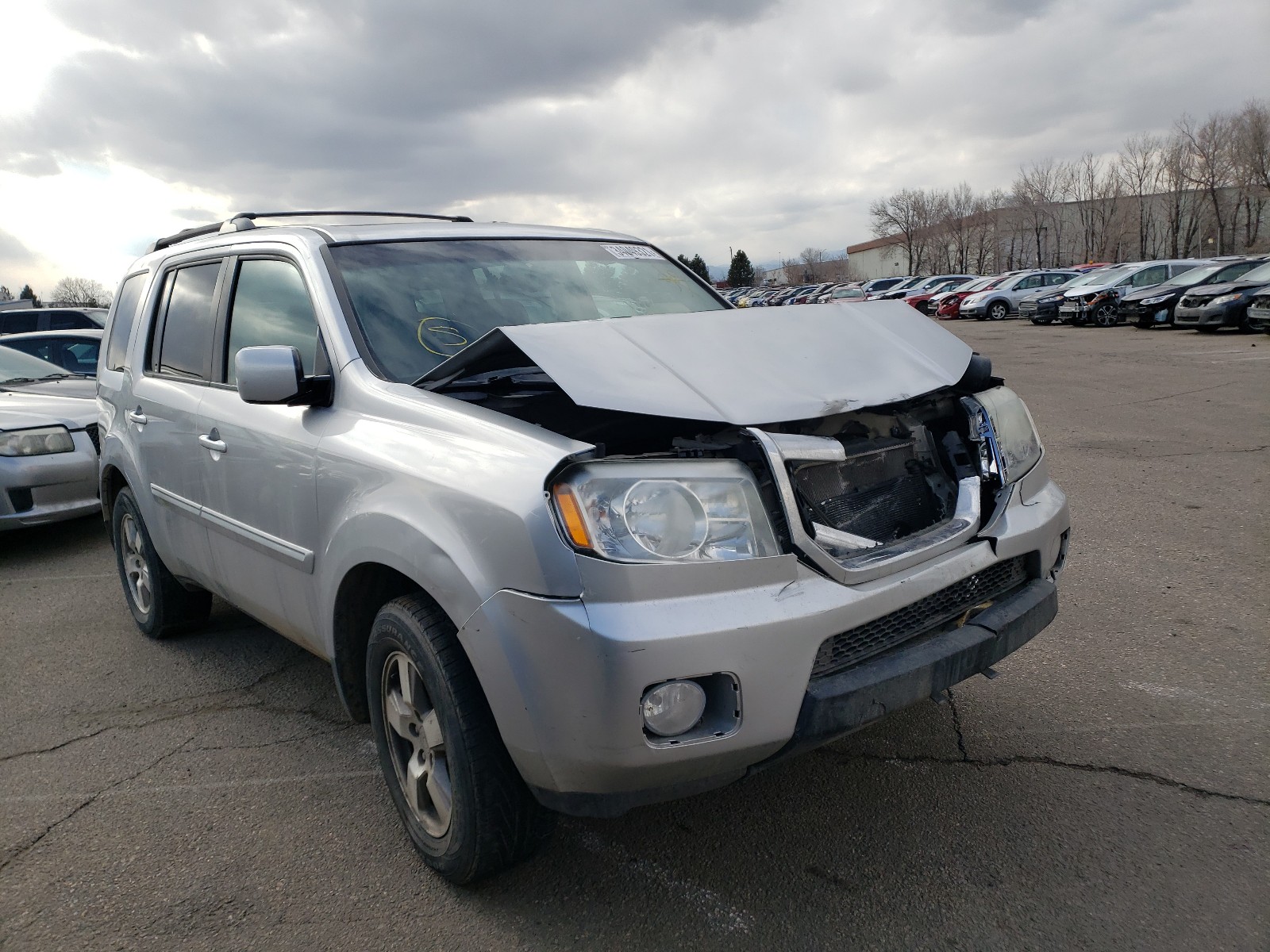 honda pilot exl 2010 5fnyf4h69ab001958