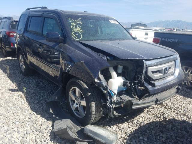 honda pilot exln 2011 5fnyf4h72bb077516