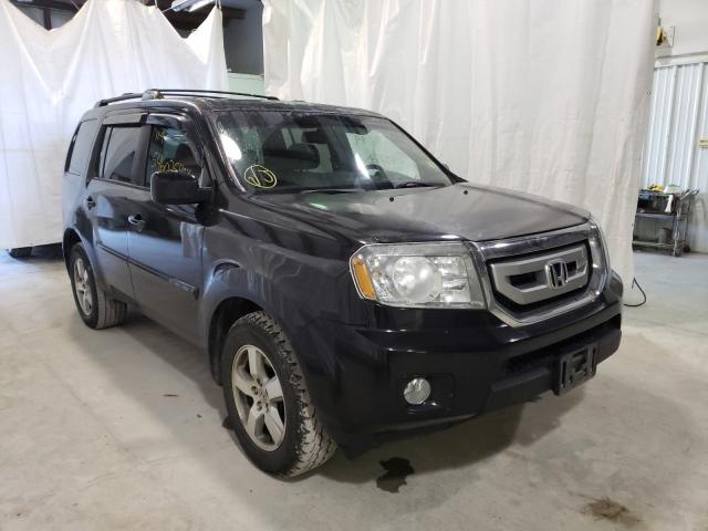 honda pilot exln 2011 5fnyf4h79bb098279