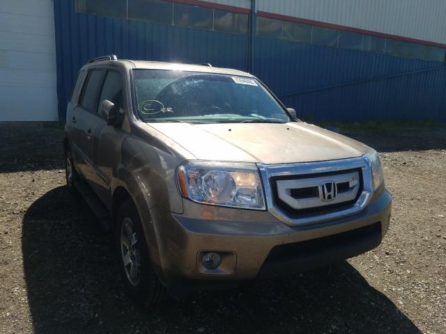 honda pilot tour 2010 5fnyf4h91ab504152