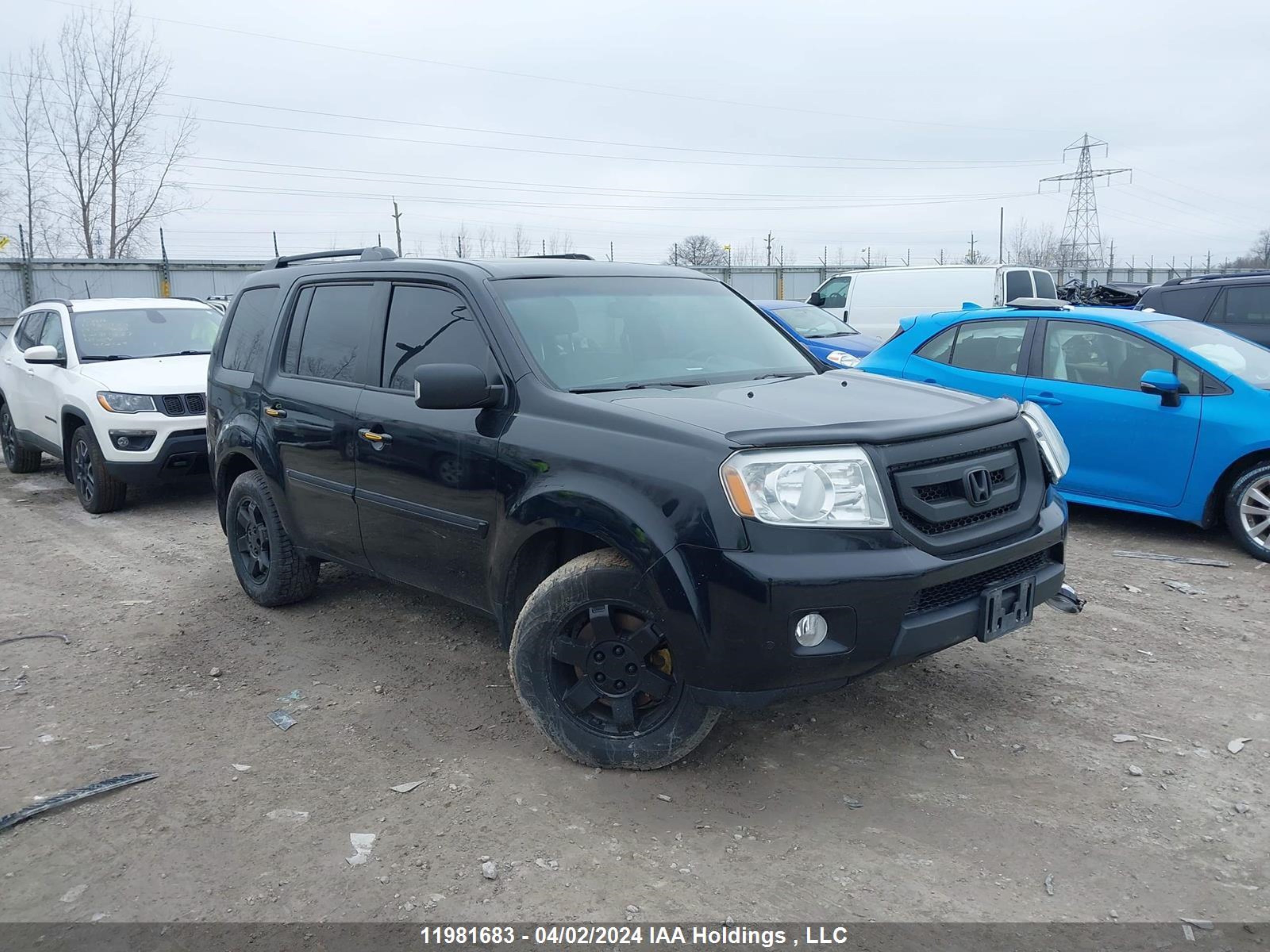 honda pilot 2011 5fnyf4h92bb502251