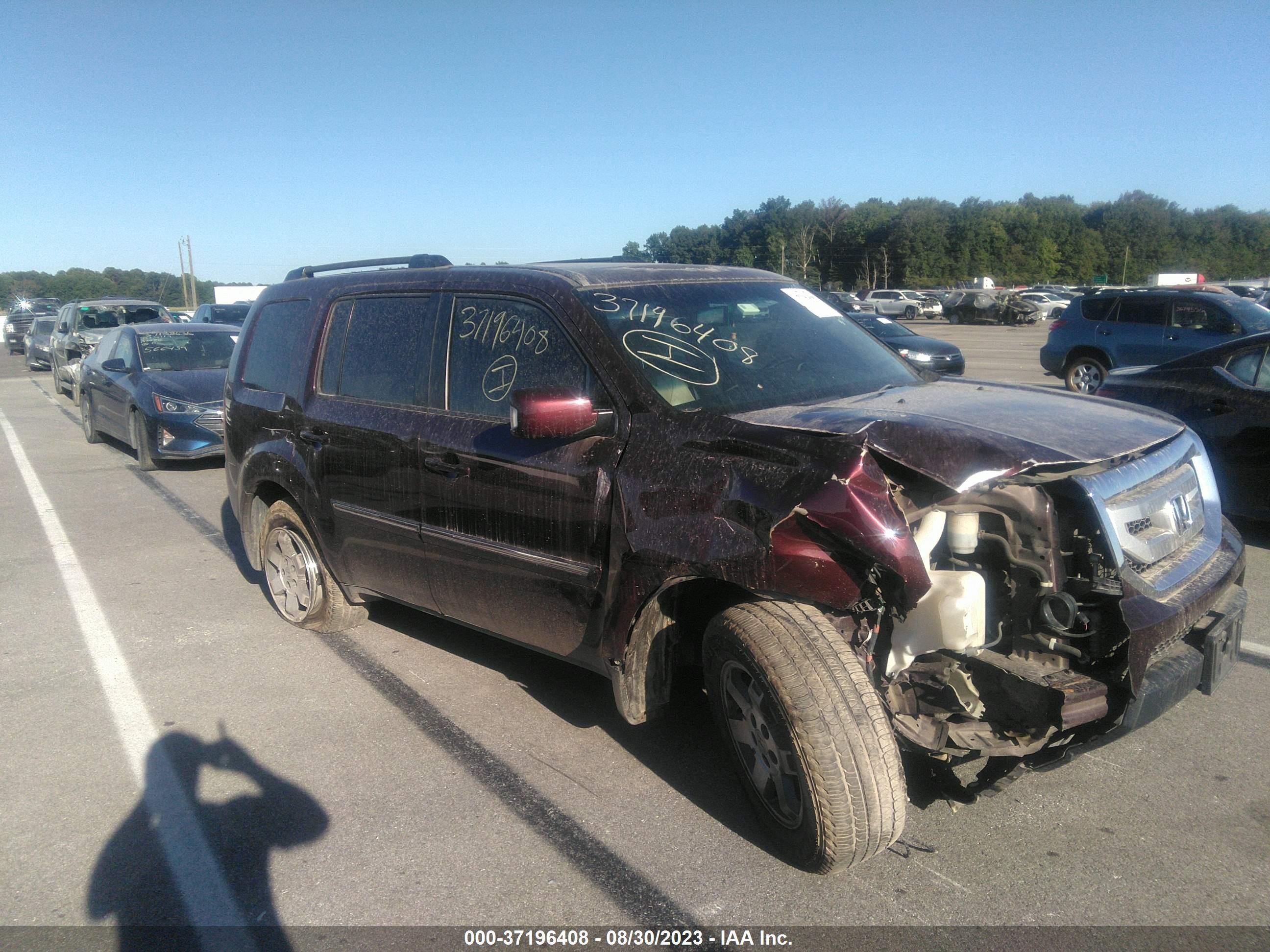 honda pilot 2011 5fnyf4h98bb012493