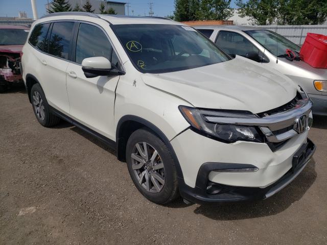 honda pilot exl 2019 5fnyf6h76kb506443