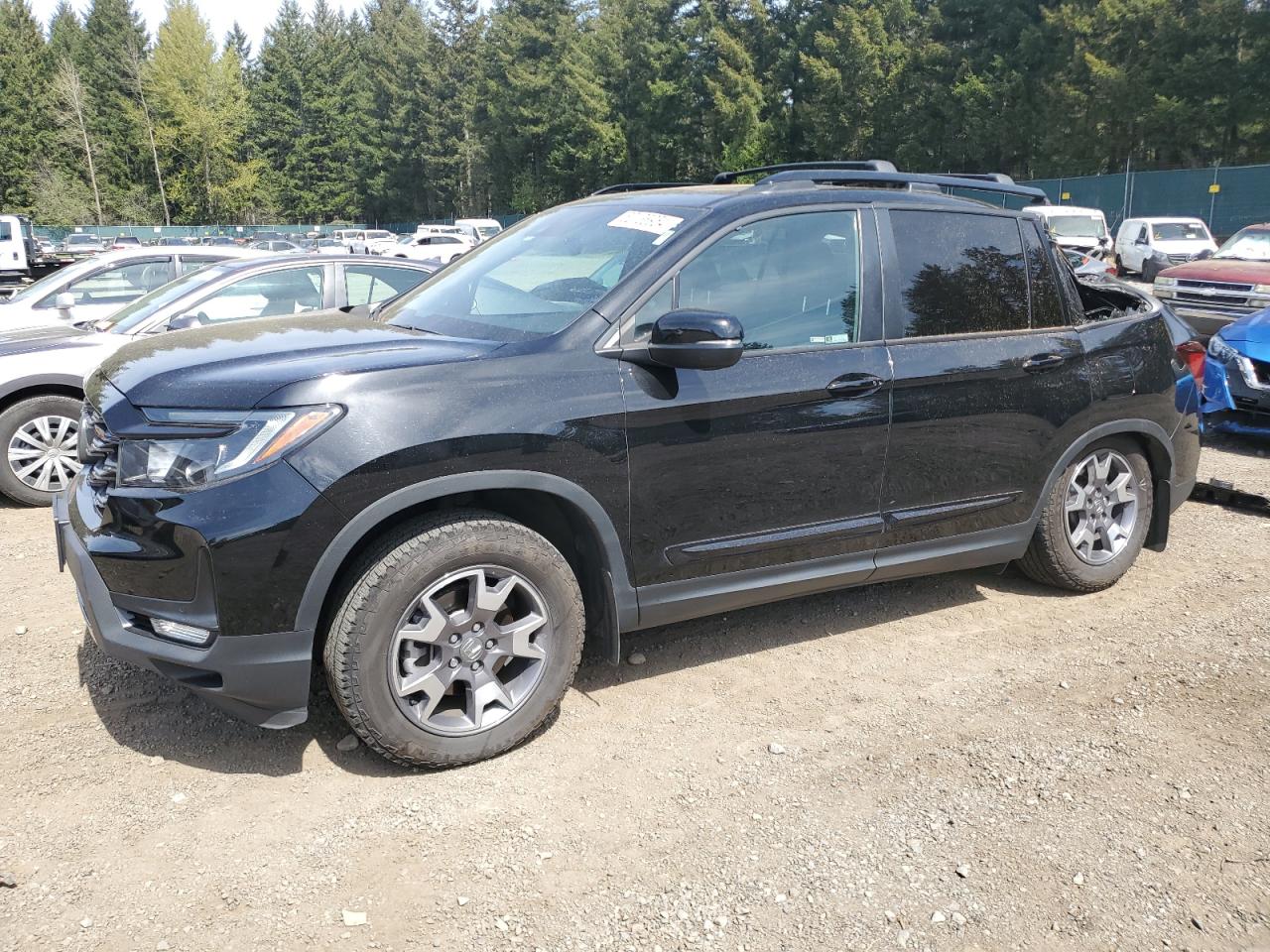 honda passport 2022 5fnyf8h61nb008089