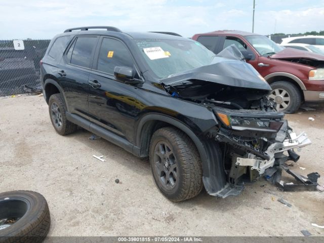 honda pilot trai 2024 5fnyg1h6xrb006013